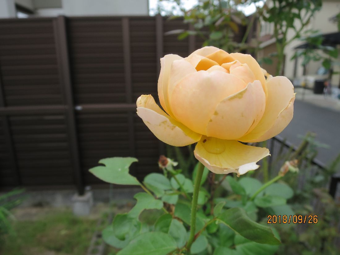 7ba45f55.jpg