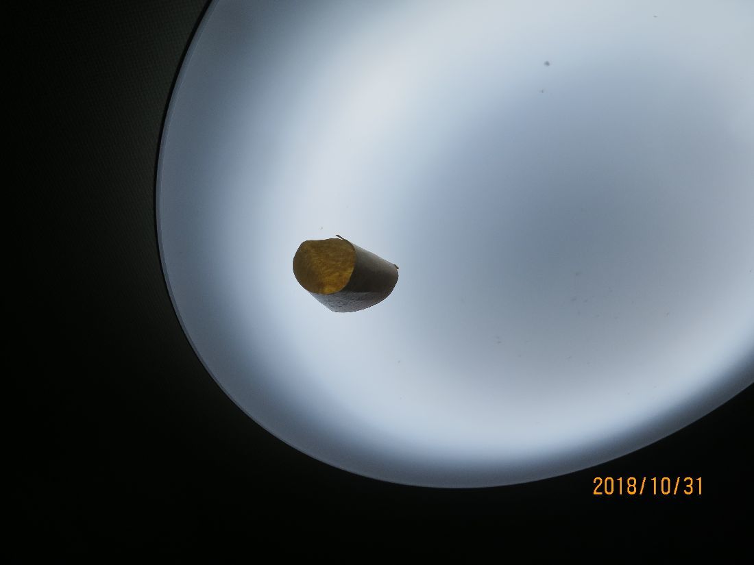 7cf9cb92.jpg