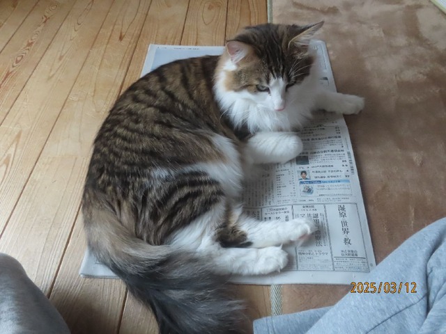 新聞①