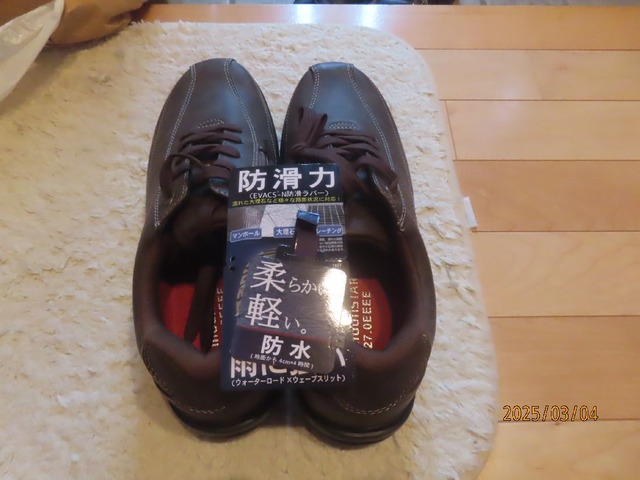 ウオーキングシューズ