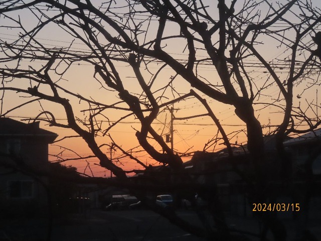 今日も夕焼け