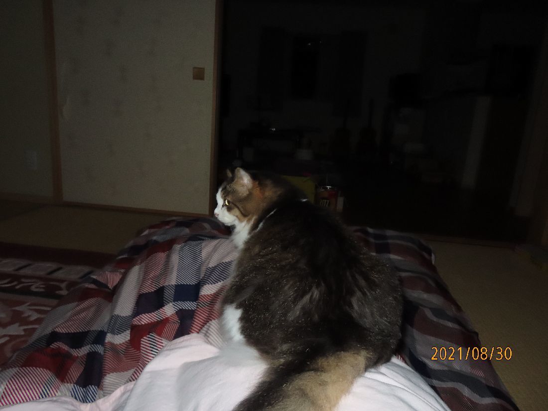 8046960d.jpg