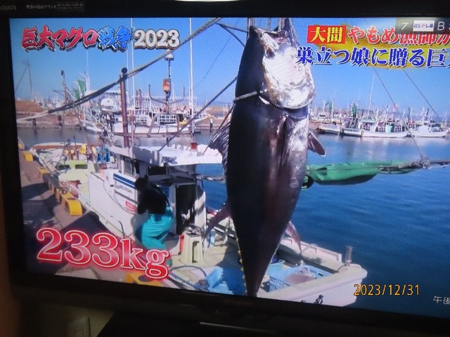 ニさんさんキロ