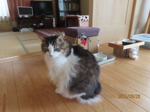 ただいまおかえり