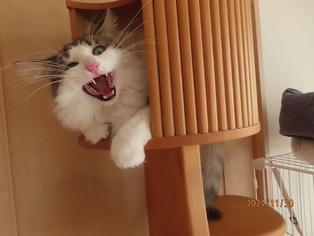タワー②