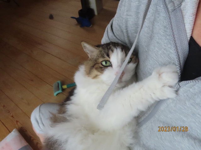 おしまい抱っこ