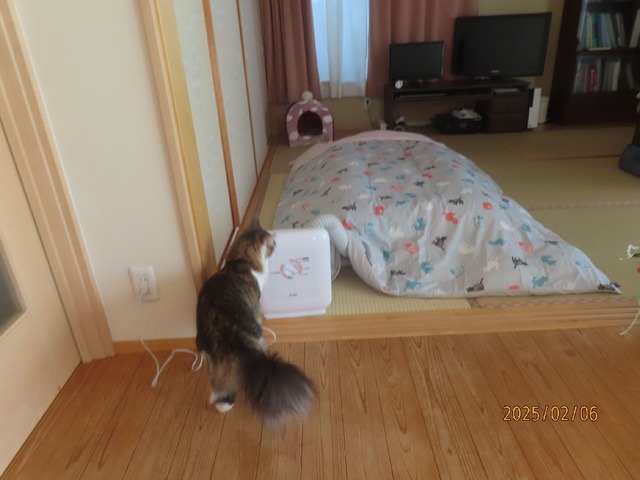 掃除蒲団乾燥機