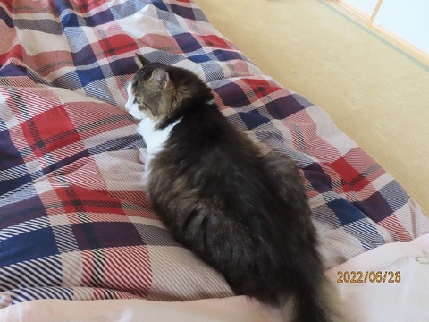 起こしに来たよ