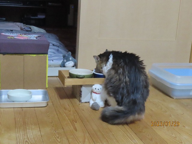 ドライ
