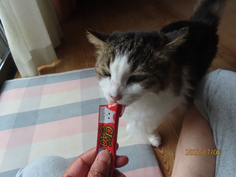 ちゅ~る