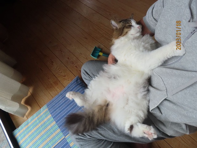 抱っこ②