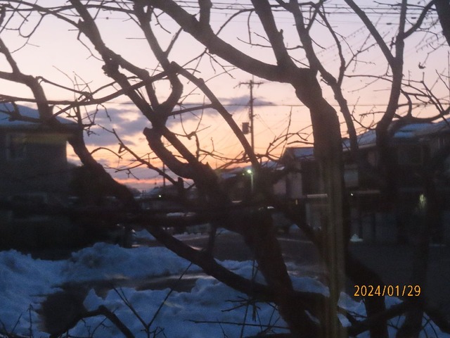 夕焼け