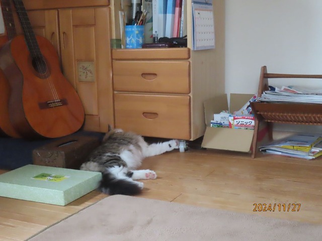 今度はこの下へ