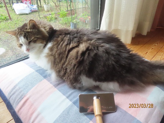 こちらへどうぞ