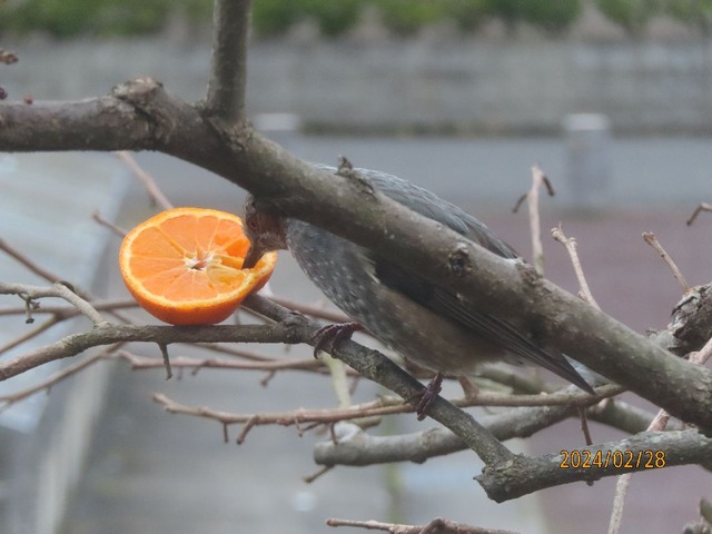 おいしいな