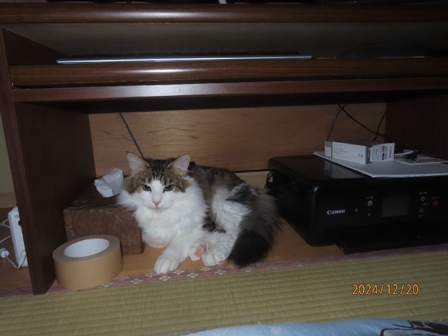 五時半ラック下