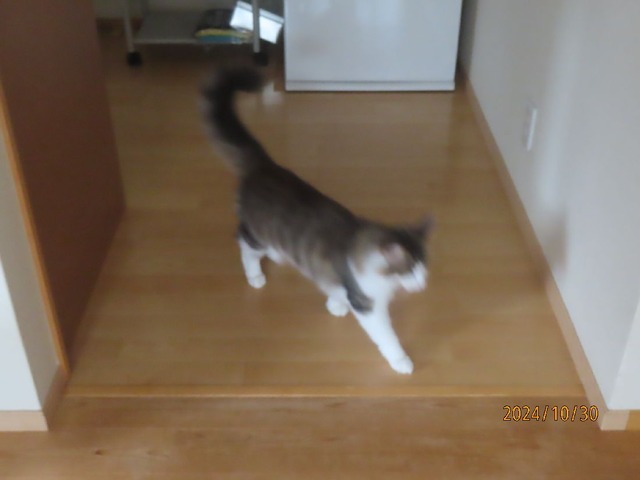 朝練③ビューン