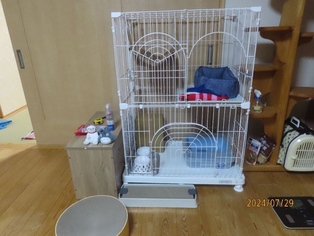 セッティング済