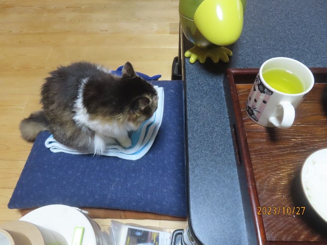 ちょっとお付き合い