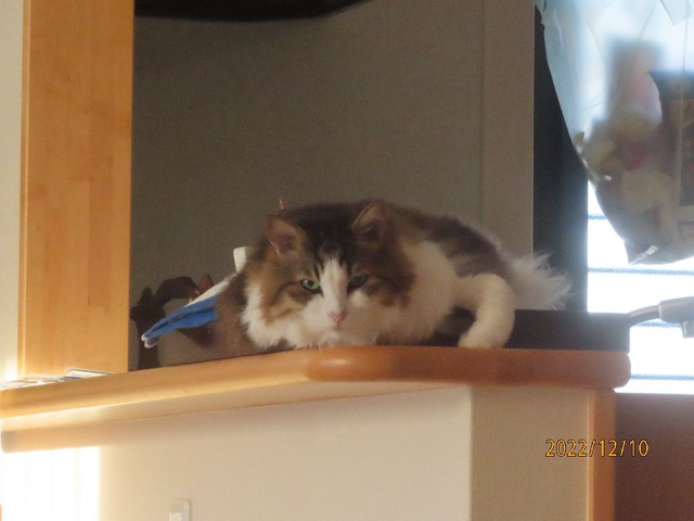 七時四十分カウンター