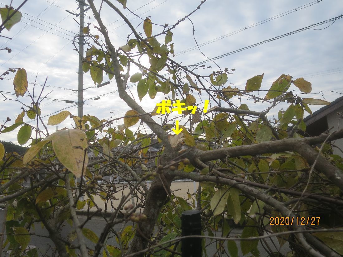 92655d69.jpg
