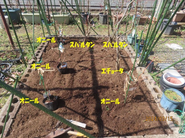 ハイブッシュ花壇