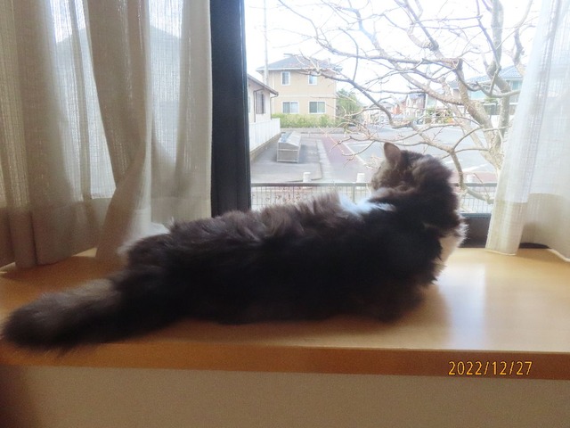 掃除出窓へ避難