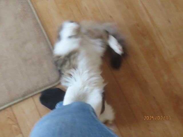 まる足ホールドさかさま