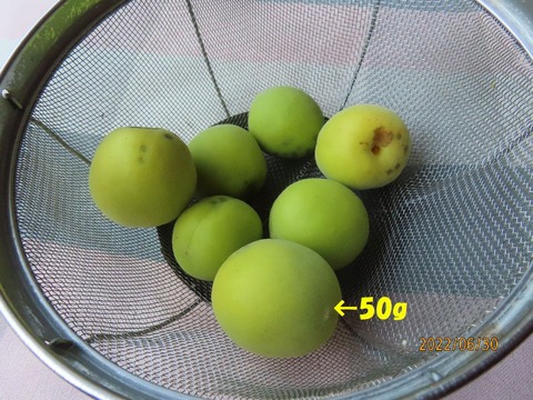 南高梅