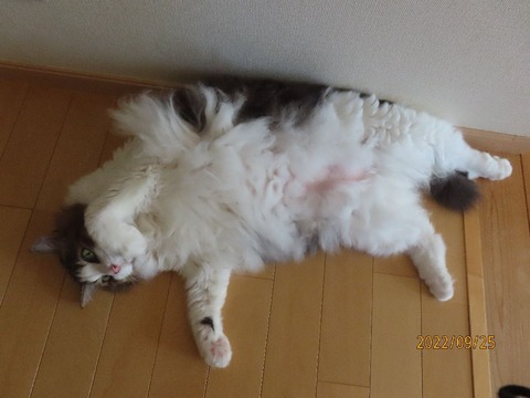 ただいまおかえり