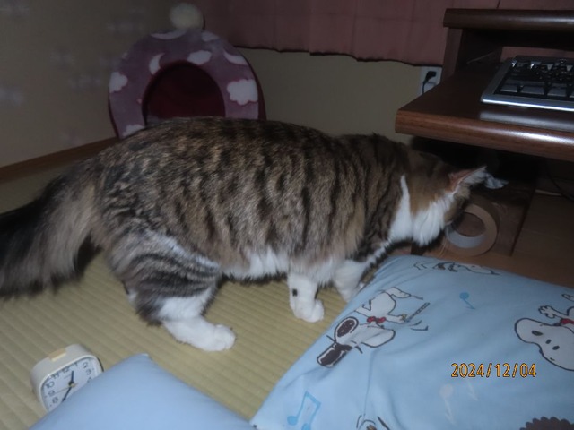 零時半過ぎ来た来た