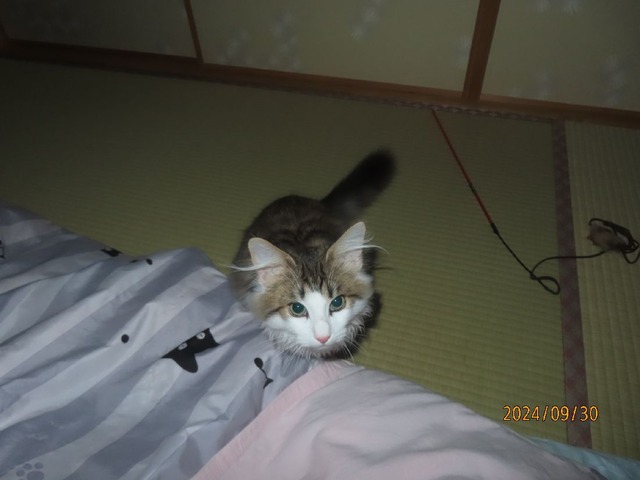 一時半②