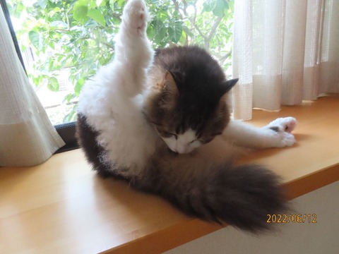 お尻ペロ②