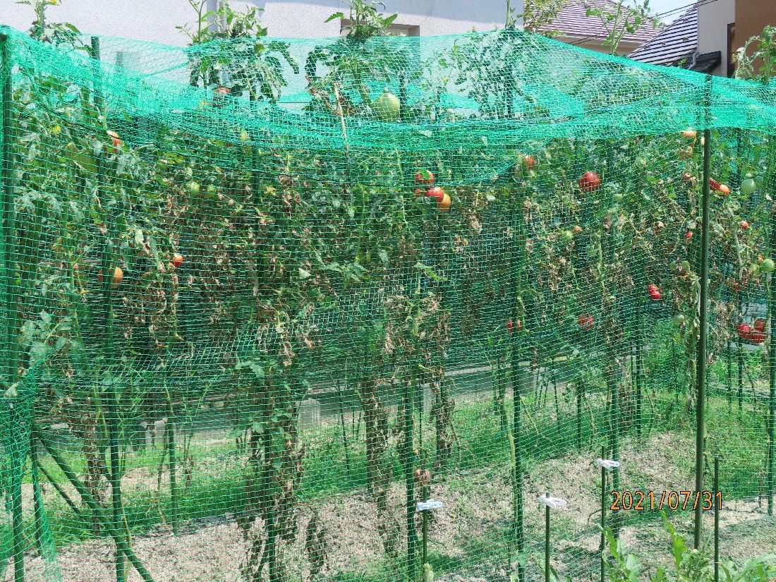 9cb46145.jpg