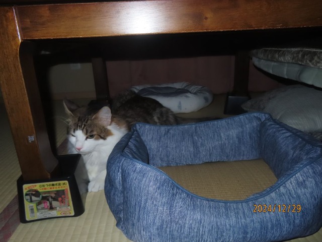 三時半