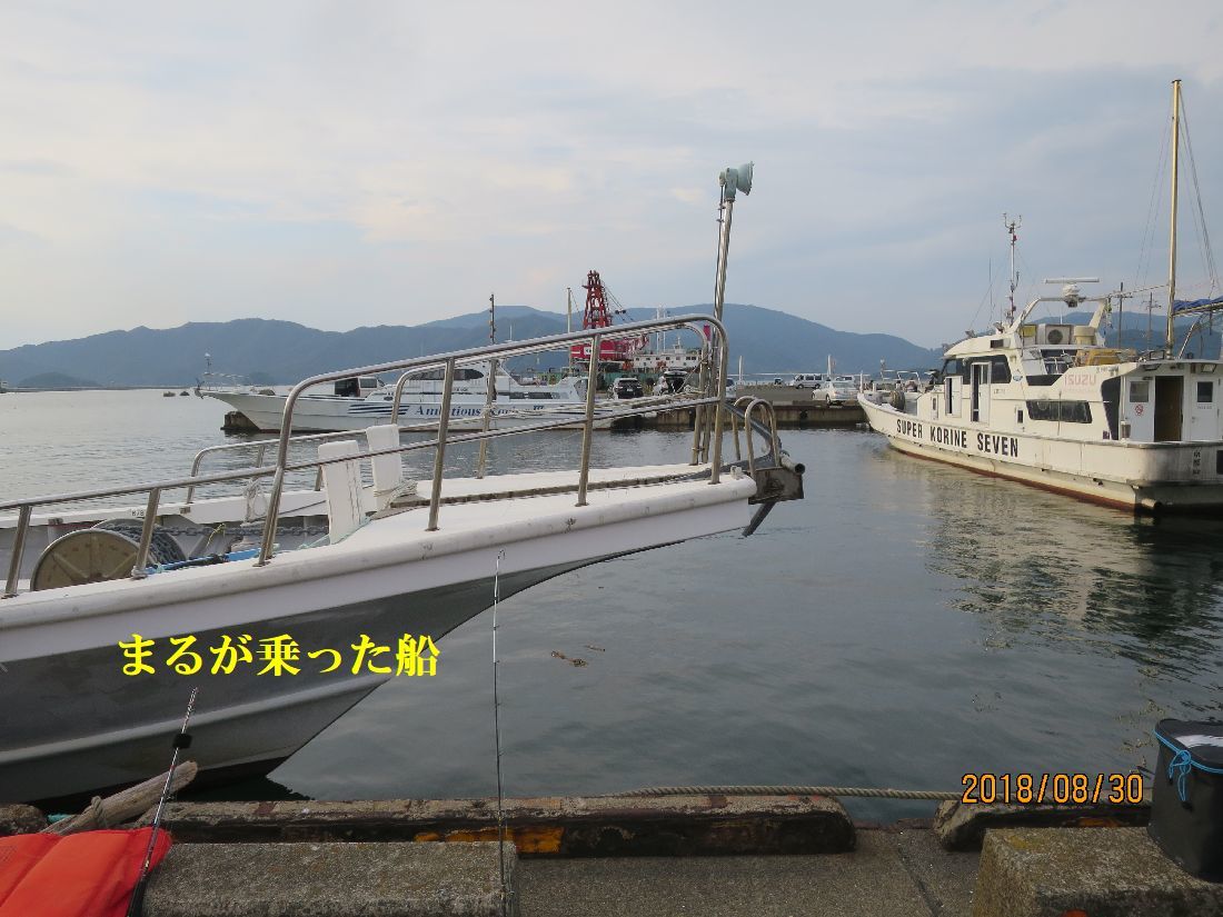 9d61e656.jpg