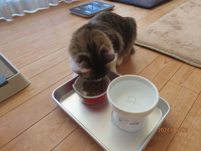 七時半朝ゴハン