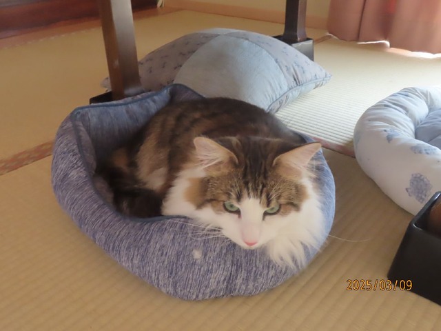 ベッドで休憩