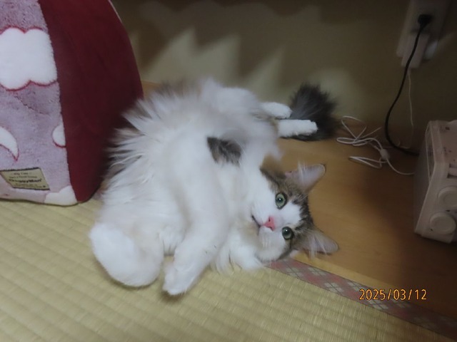 枕元