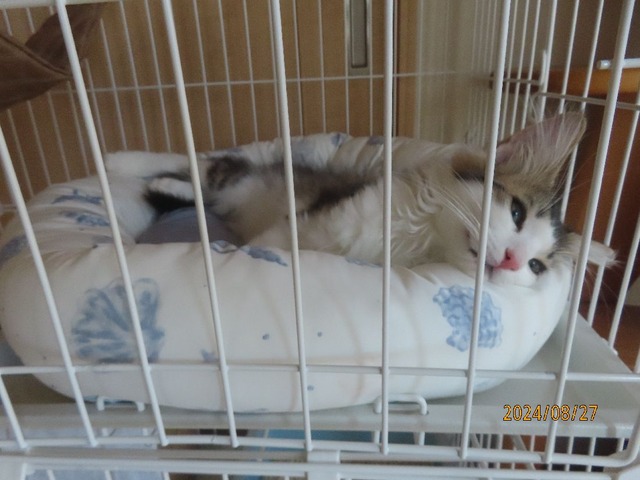 ゴハンまだかな？