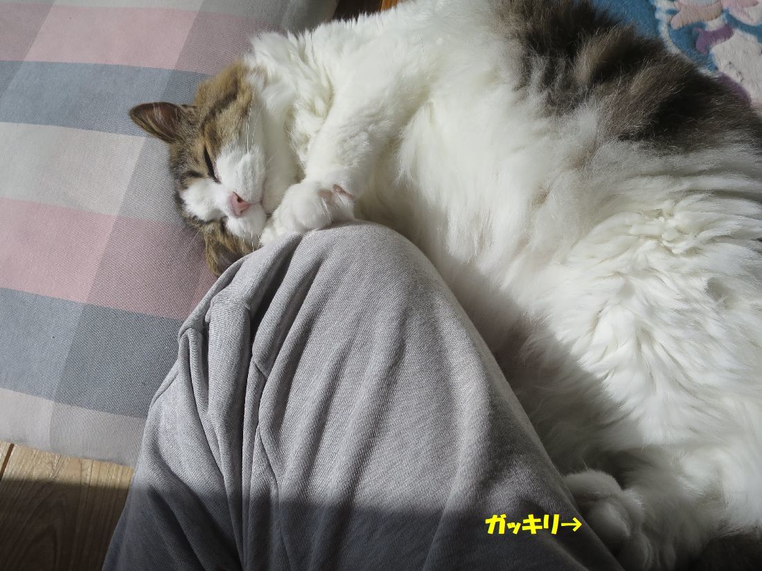 a34791f6.jpg