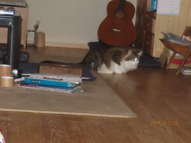 一時前リビング