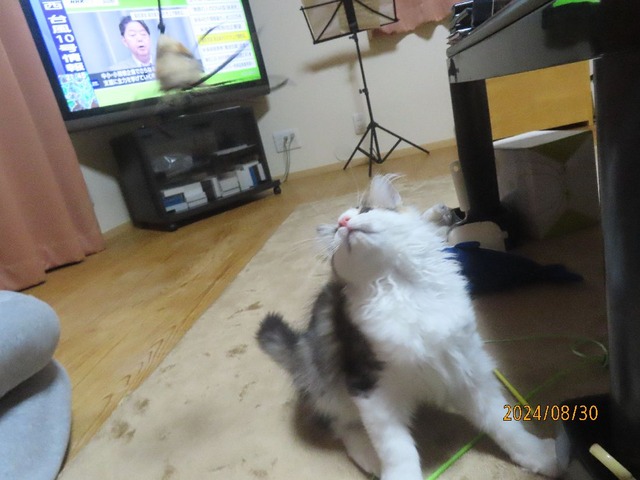 夜遊び②