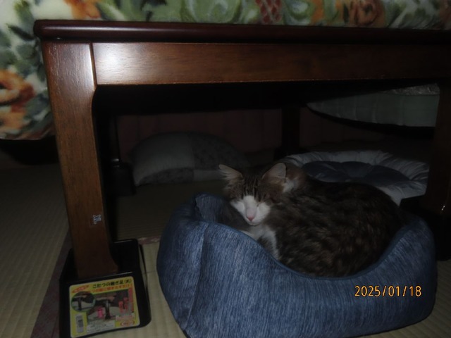 二時四十分べっど