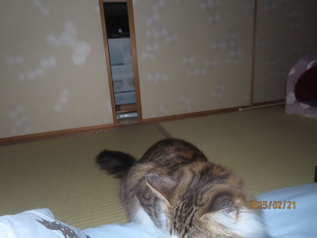 押し入れ襖