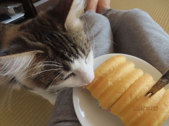 バウムクーヘン