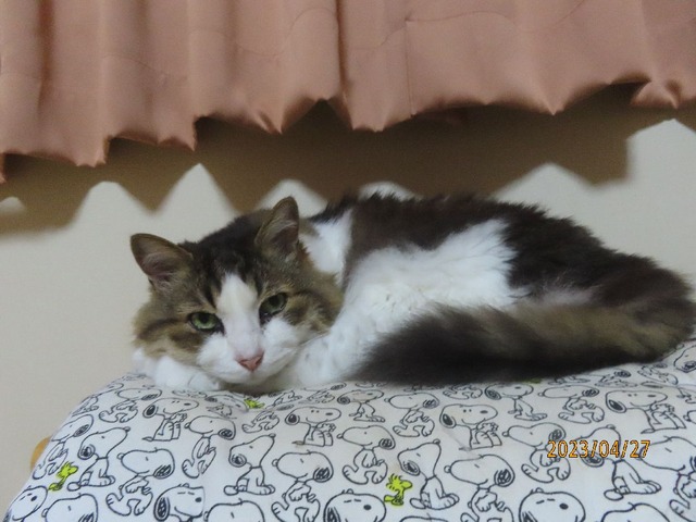 ふう「釣れた？」