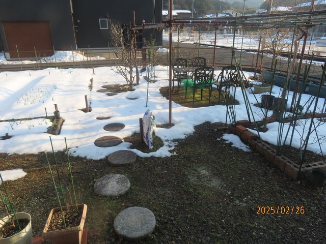 庭雪解け
