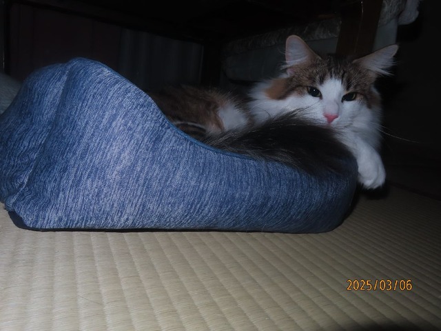 四時過ぎベッド