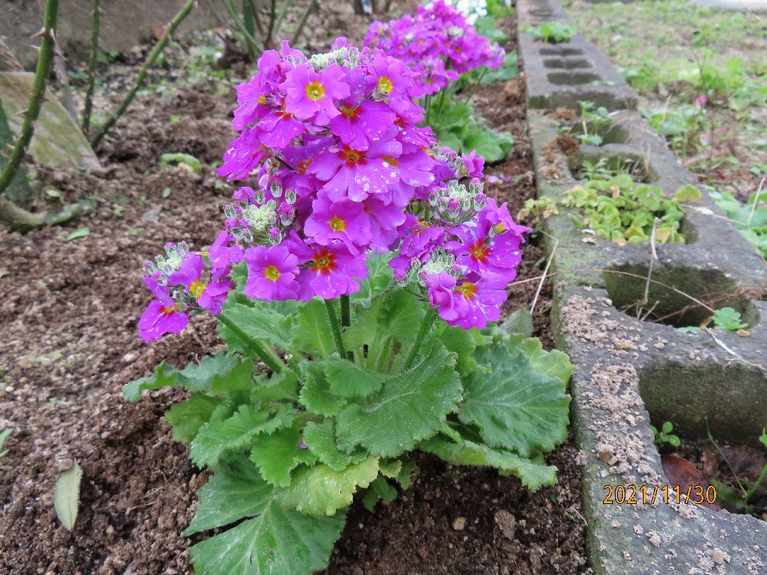 ab7f9e8a.jpg